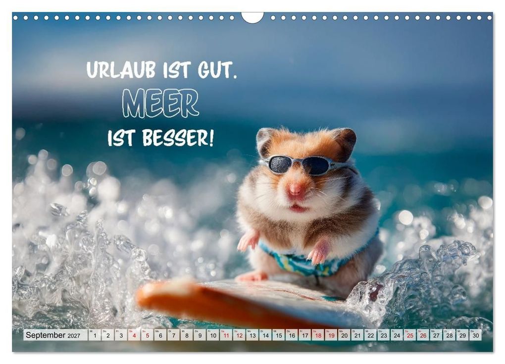 Weitere Ansicht: Hamster - Coole kleine Nager (Wandkalender 2027 DIN A3 quer), CALVENDO Monatskalender | Melanie Viola, Calvendo