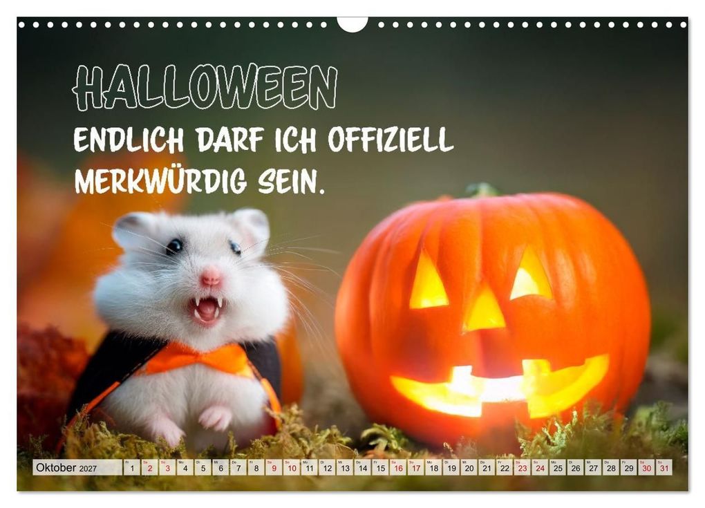 Weitere Ansicht: Hamster - Coole kleine Nager (Wandkalender 2027 DIN A3 quer), CALVENDO Monatskalender | Melanie Viola, Calvendo