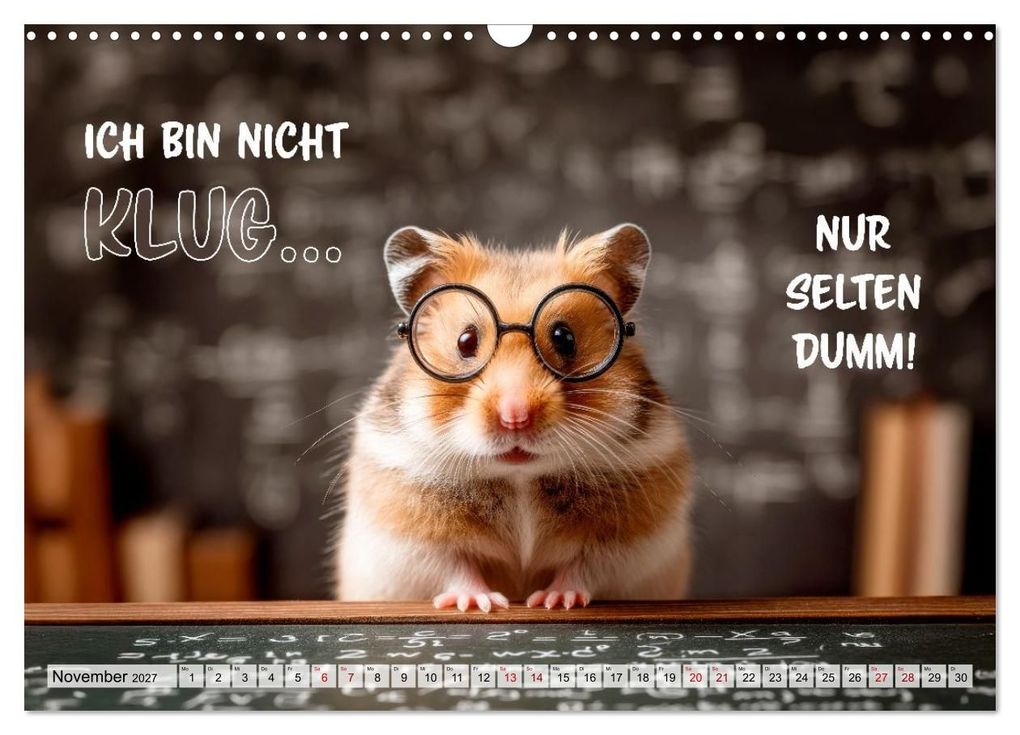 Weitere Ansicht: Hamster - Coole kleine Nager (Wandkalender 2027 DIN A3 quer), CALVENDO Monatskalender | Melanie Viola, Calvendo