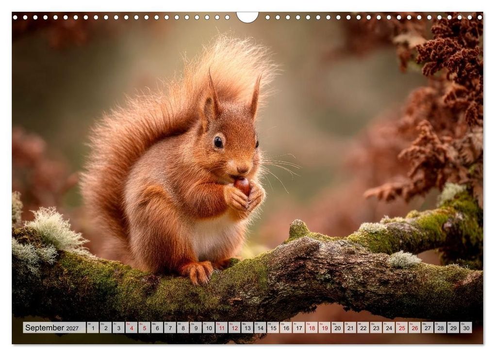 Weitere Ansicht: Waldleben - Tiere hautnah (Wandkalender 2027 DIN A3 quer), CALVENDO Monatskalender | Melanie Viola, Calvendo