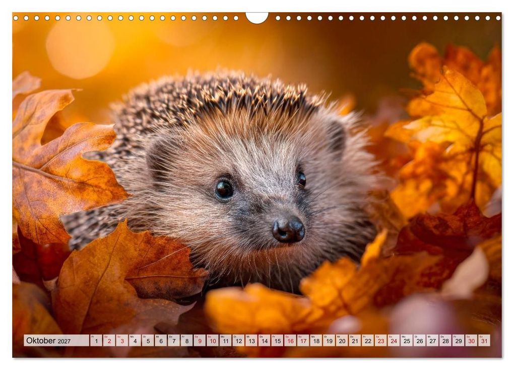 Weitere Ansicht: Waldleben - Tiere hautnah (Wandkalender 2027 DIN A3 quer), CALVENDO Monatskalender | Melanie Viola, Calvendo
