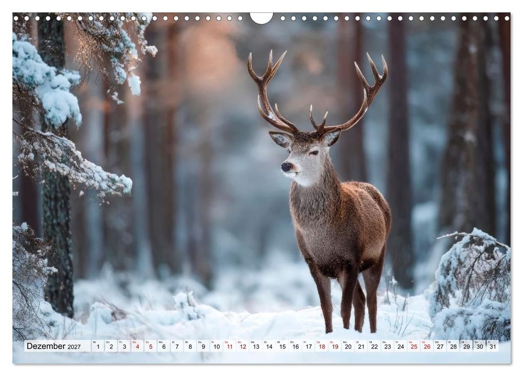 Weitere Ansicht: Waldleben - Tiere hautnah (Wandkalender 2027 DIN A3 quer), CALVENDO Monatskalender | Melanie Viola, Calvendo