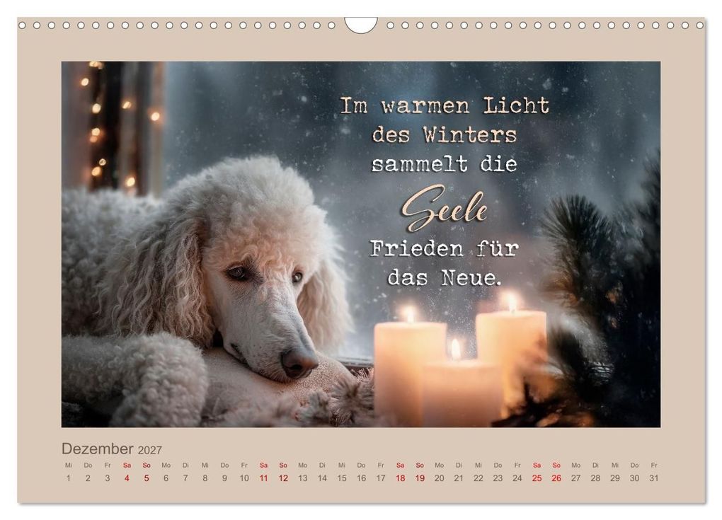 Weitere Ansicht: Pudelpoesie - Augenblicke voller Seele (Wandkalender 2027 DIN A3 quer), CALVENDO Monatskalender | Melanie Viola, Calvendo