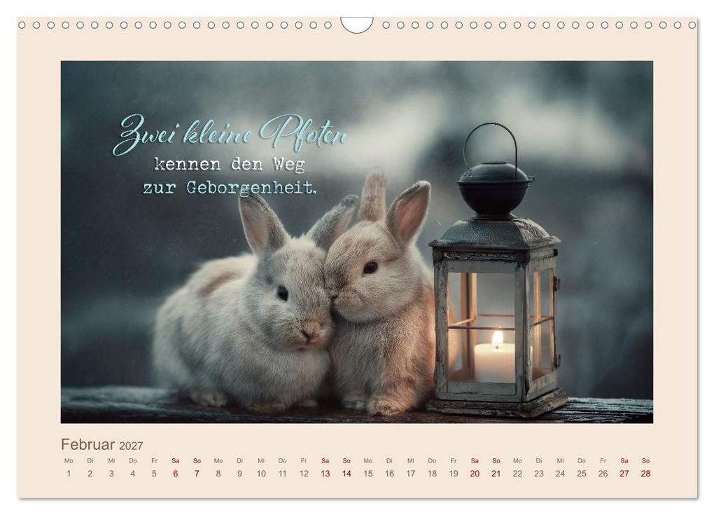 Weitere Ansicht: Kaninchenpoesie - Augenblicke voller Seele (Wandkalender 2027 DIN A3 quer), CALVENDO Monatskalender | Melanie Viola