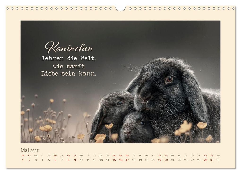 Weitere Ansicht: Kaninchenpoesie - Augenblicke voller Seele (Wandkalender 2027 DIN A3 quer), CALVENDO Monatskalender | Melanie Viola