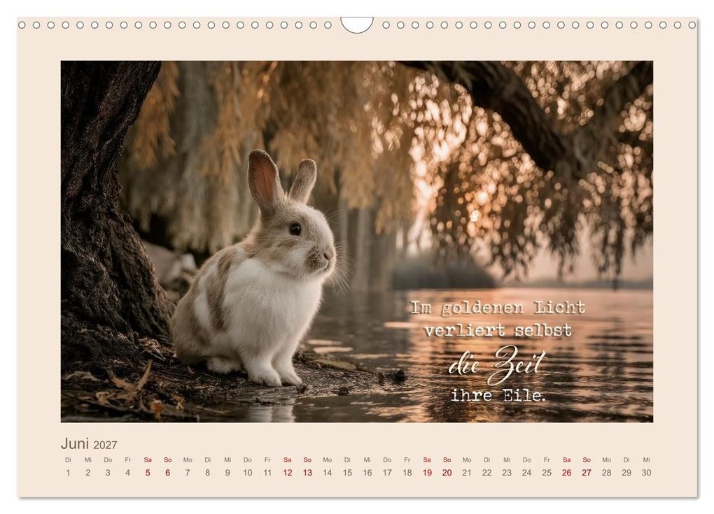 Weitere Ansicht: Kaninchenpoesie - Augenblicke voller Seele (Wandkalender 2027 DIN A3 quer), CALVENDO Monatskalender | Melanie Viola