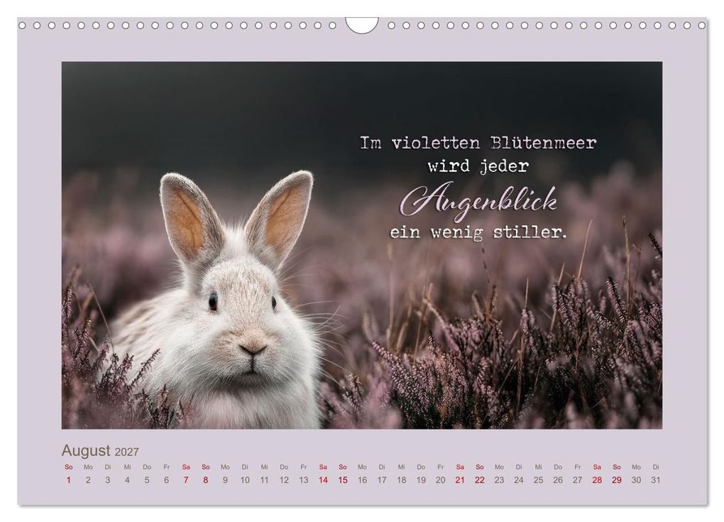 Weitere Ansicht: Kaninchenpoesie - Augenblicke voller Seele (Wandkalender 2027 DIN A3 quer), CALVENDO Monatskalender | Melanie Viola