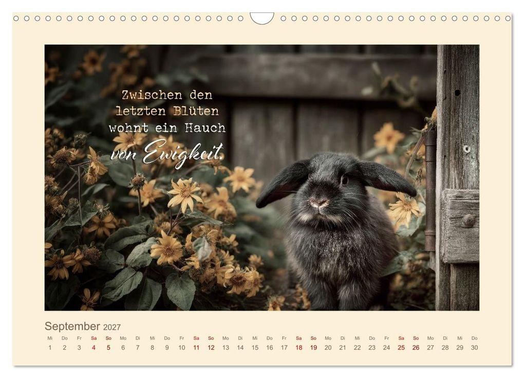 Weitere Ansicht: Kaninchenpoesie - Augenblicke voller Seele (Wandkalender 2027 DIN A3 quer), CALVENDO Monatskalender | Melanie Viola
