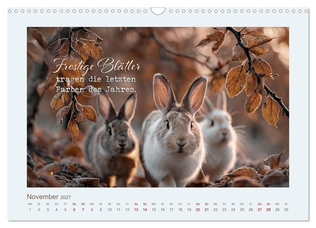 Weitere Ansicht: Kaninchenpoesie - Augenblicke voller Seele (Wandkalender 2027 DIN A3 quer), CALVENDO Monatskalender | Melanie Viola
