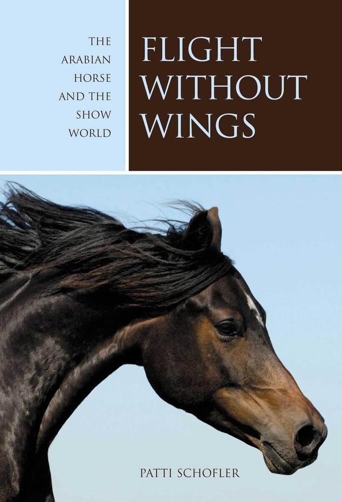 Produktbild: Flight without Wings | Patti Schofler
