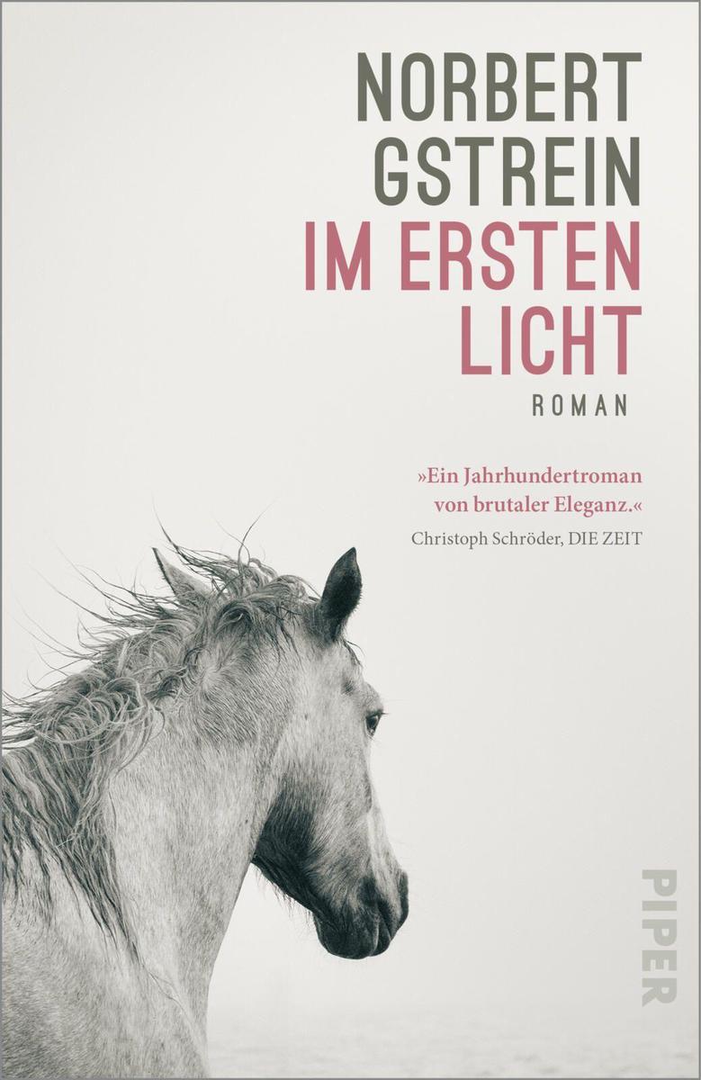 Produktbild: Im ersten Licht | Norbert Gstrein
