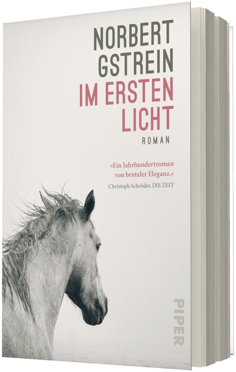 Weitere Ansicht: Im ersten Licht | Norbert Gstrein
