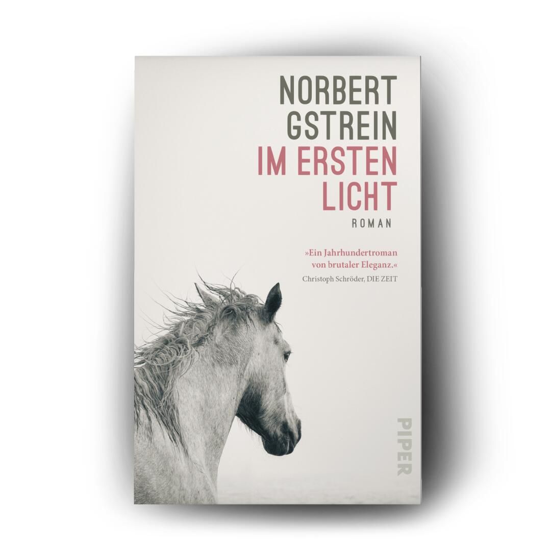 Weitere Ansicht: Im ersten Licht | Norbert Gstrein