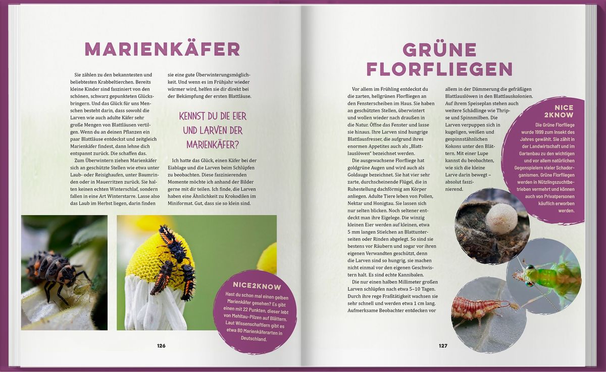 Weitere Ansicht: Erntevergnügen | Angelika Laumann
