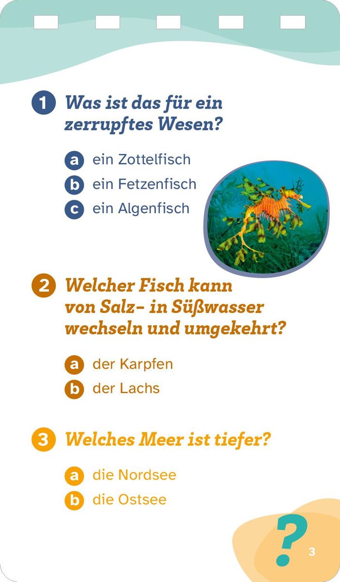 Weitere Ansicht: WAS IST WAS Quiz Meer