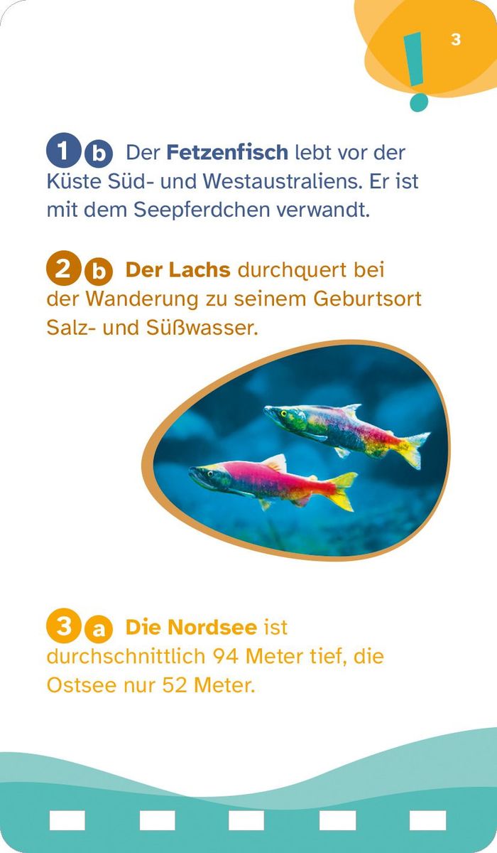 Weitere Ansicht: WAS IST WAS Quiz Meer