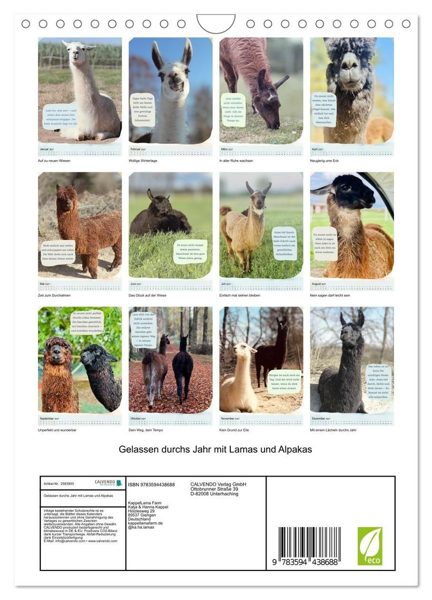 Weitere Ansicht: Gelassen durchs Jahr mit Lamas und Alpakas (Wandkalender 2027 DIN A4 hoch), CALVENDO Monatskalender | Calvendo, KappelLama Farm