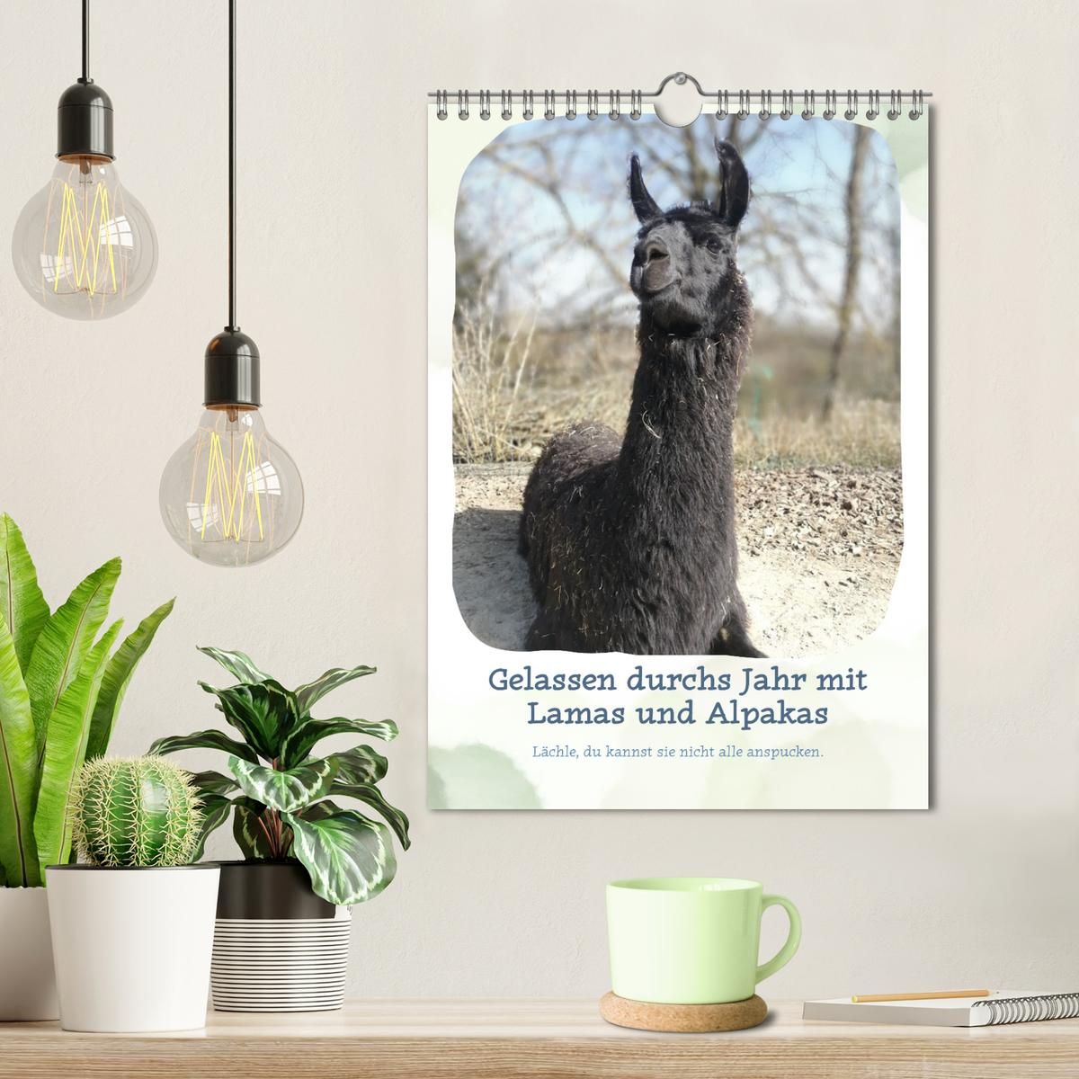 Weitere Ansicht: Gelassen durchs Jahr mit Lamas und Alpakas (Wandkalender 2027 DIN A4 hoch), CALVENDO Monatskalender | Calvendo, KappelLama Farm