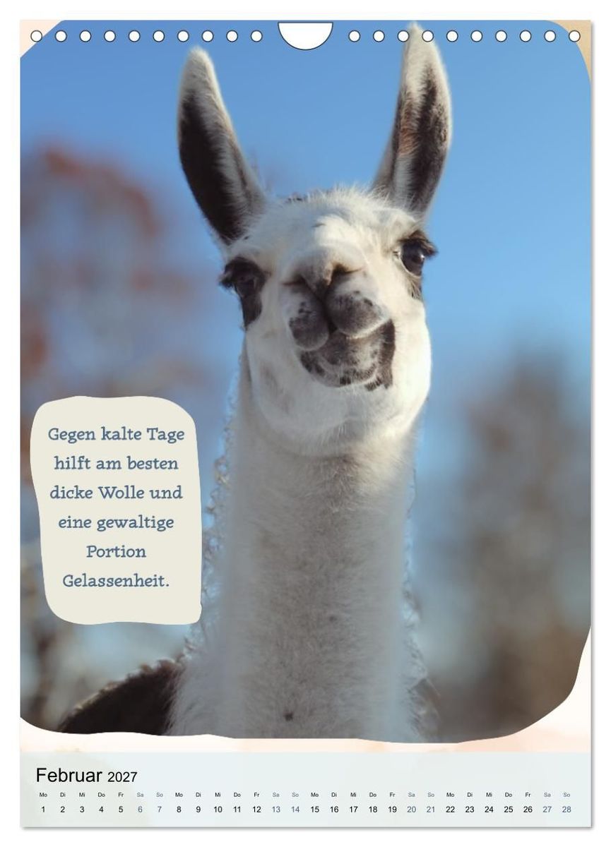 Weitere Ansicht: Gelassen durchs Jahr mit Lamas und Alpakas (Wandkalender 2027 DIN A4 hoch), CALVENDO Monatskalender | Calvendo, KappelLama Farm