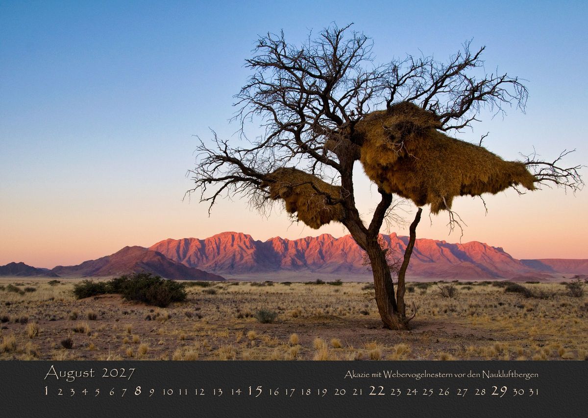 Weitere Ansicht: NAMIBIAS WILDNIS 2027