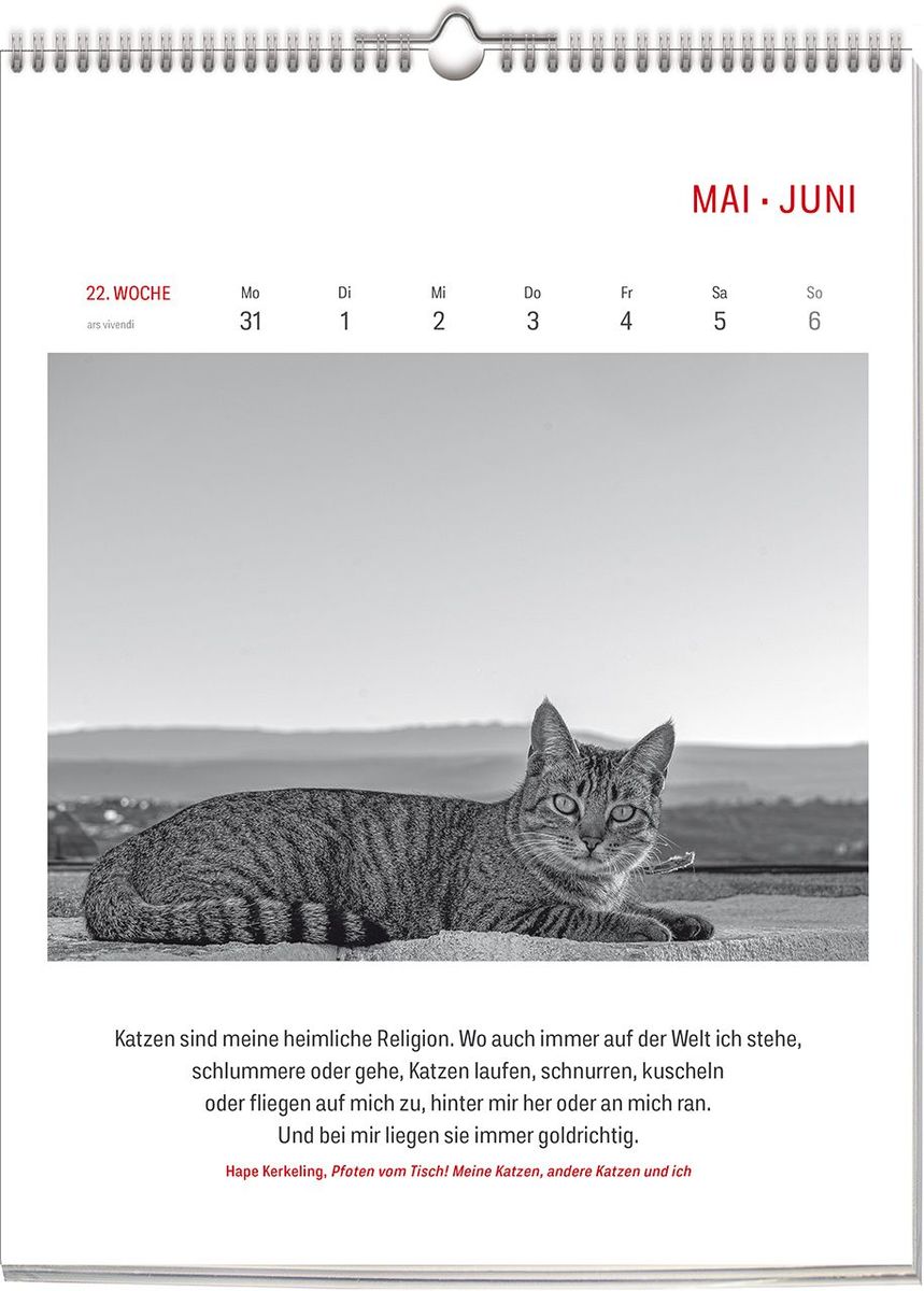 Weitere Ansicht: Literarisch durchs Jahr - Katzen 2028 | Vivendi Ars