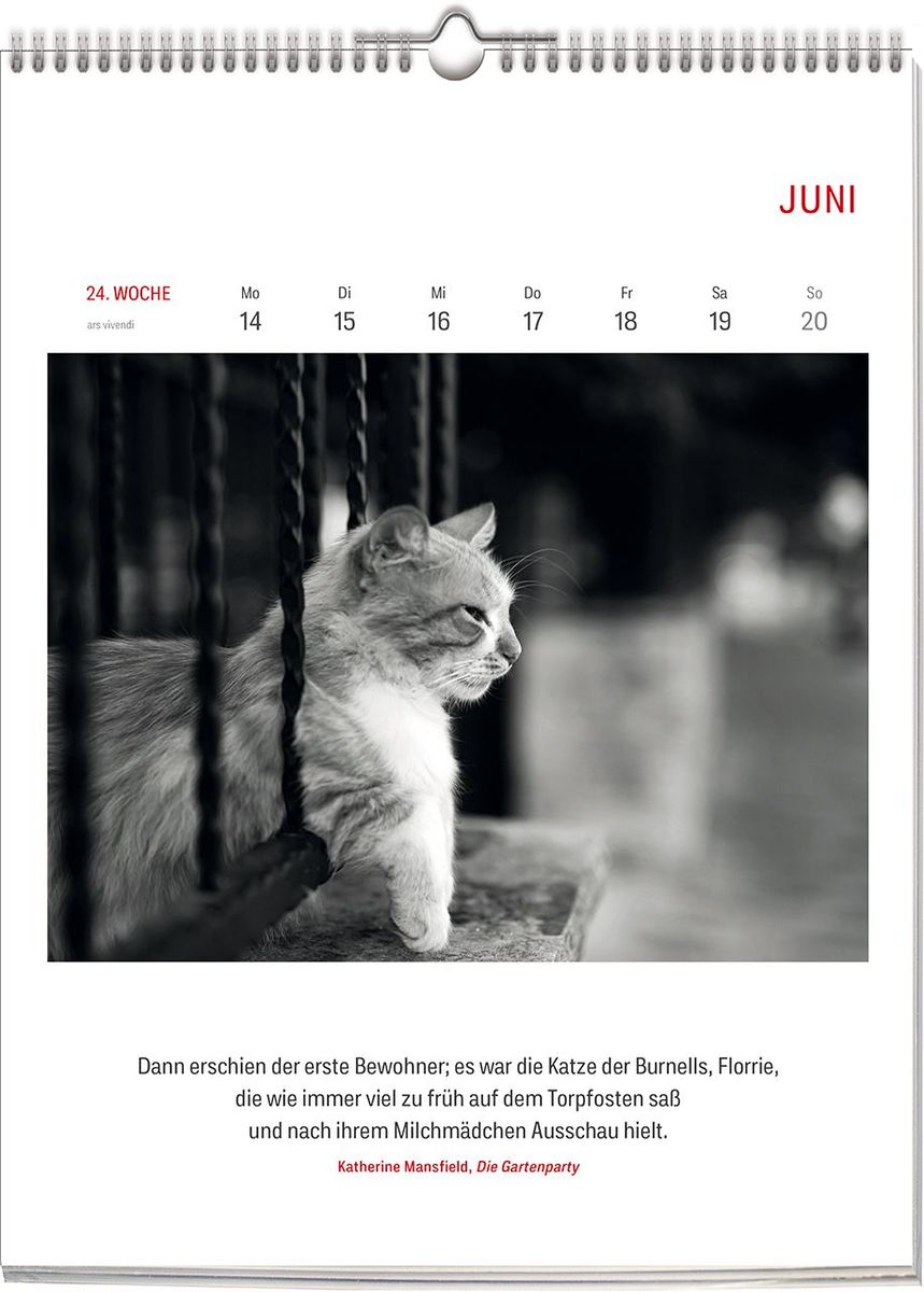 Weitere Ansicht: Literarisch durchs Jahr - Katzen 2028 | Vivendi Ars