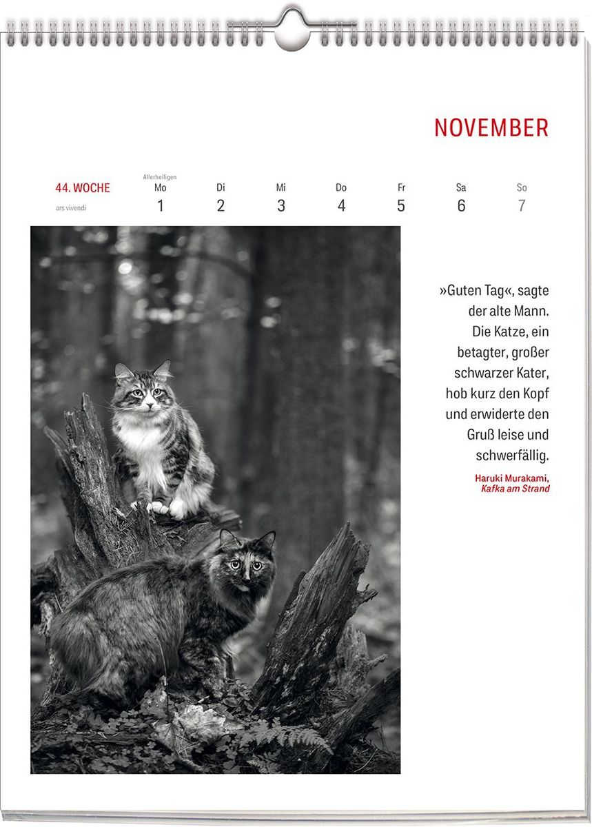Weitere Ansicht: Literarisch durchs Jahr - Katzen 2028 | Vivendi Ars