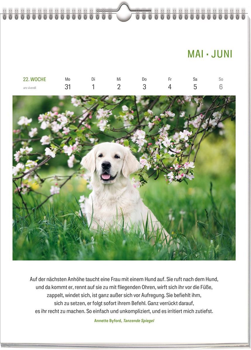 Weitere Ansicht: Literarischer HUNDE-Kalender 2028 | Vivendi Ars