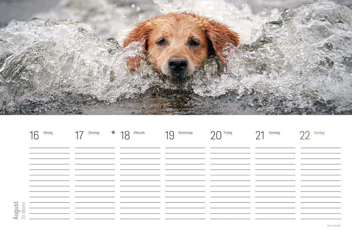 Weitere Ansicht: Literarischer HUNDE-Tischkalender 2028 | Vivendi Ars