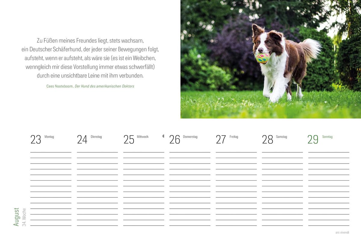 Weitere Ansicht: Literarischer HUNDE-Tischkalender 2028 | Vivendi Ars