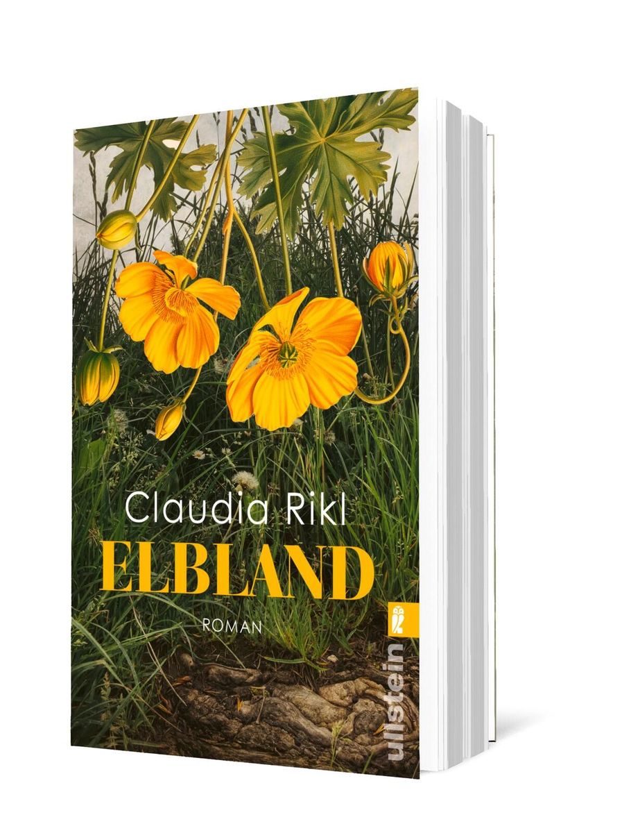 Weitere Ansicht: Elbland | Claudia Rikl