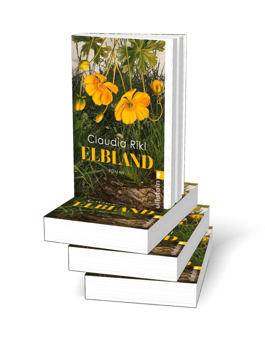 Weitere Ansicht: Elbland | Claudia Rikl