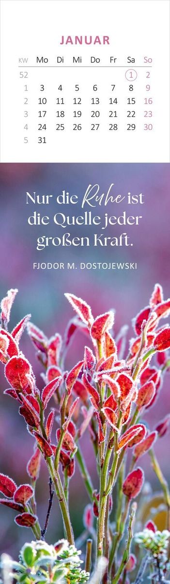 Weitere Ansicht: Lesezeichenkalender Gelassenheit für dich 2028