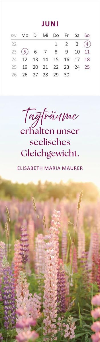 Weitere Ansicht: Lesezeichenkalender Gelassenheit für dich 2028
