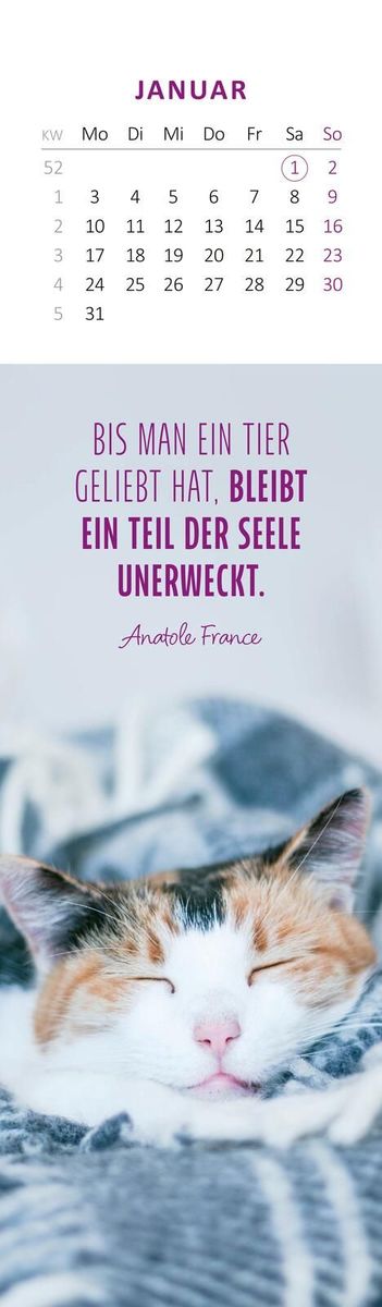 Weitere Ansicht: Lesezeichenkalender Katzenglück 2028