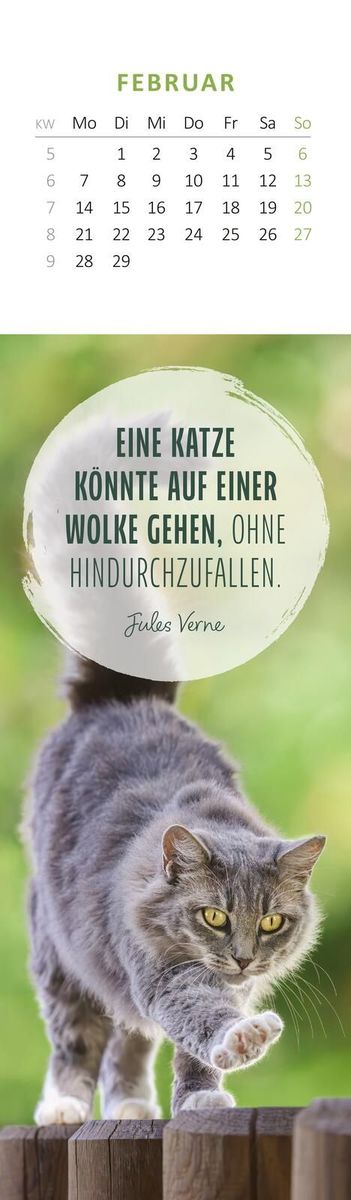 Weitere Ansicht: Lesezeichenkalender Katzenglück 2028