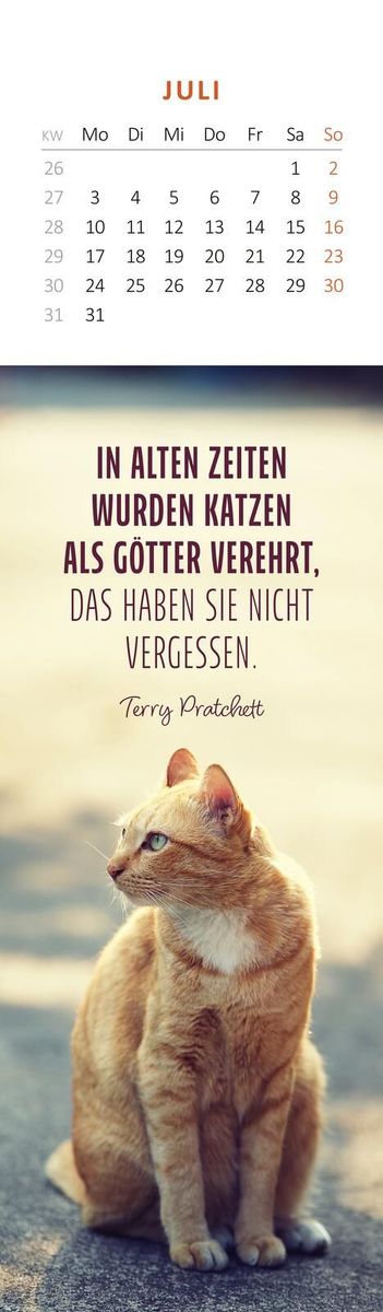 Weitere Ansicht: Lesezeichenkalender Katzenglück 2028