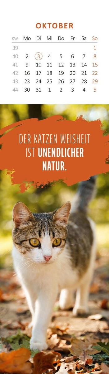 Weitere Ansicht: Lesezeichenkalender Katzenglück 2028