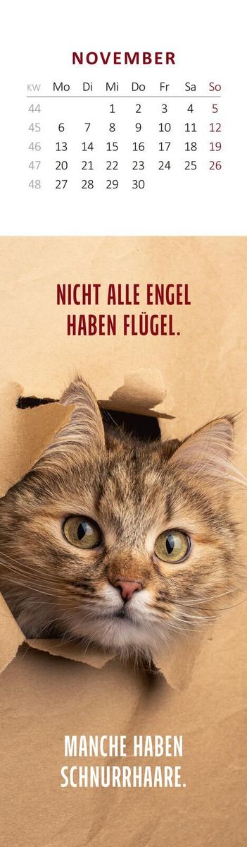 Weitere Ansicht: Lesezeichenkalender Katzenglück 2028