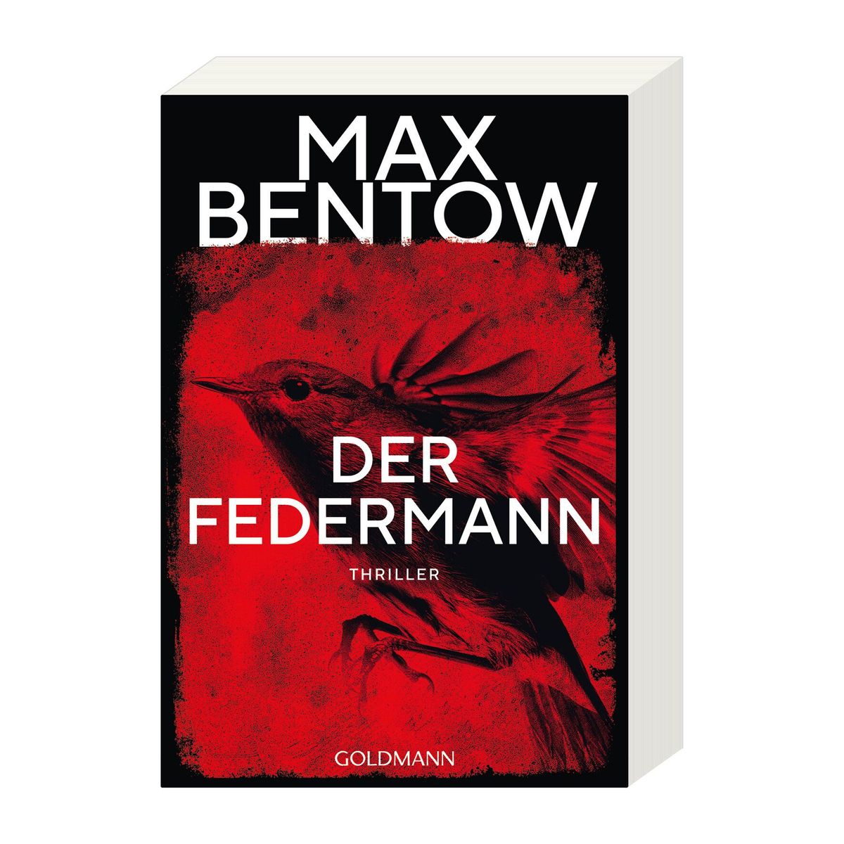 Weitere Ansicht: Der Federmann | Max Bentow
