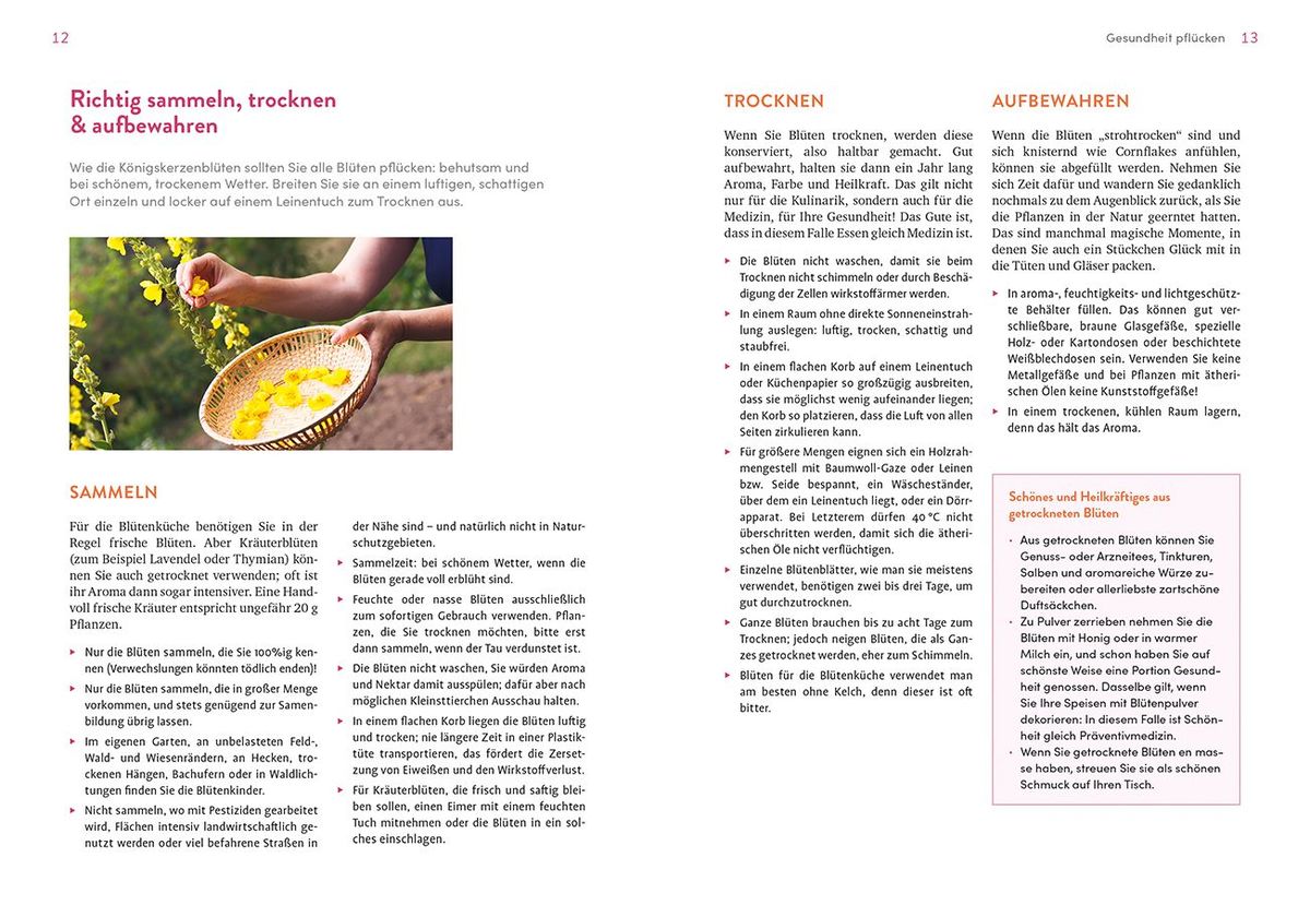 Weitere Ansicht: Blütenküche | Ursel Bühring