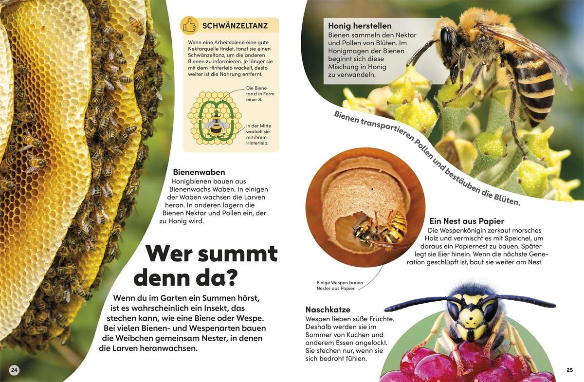 Weitere Ansicht: memo Wissen Kids. Insekten