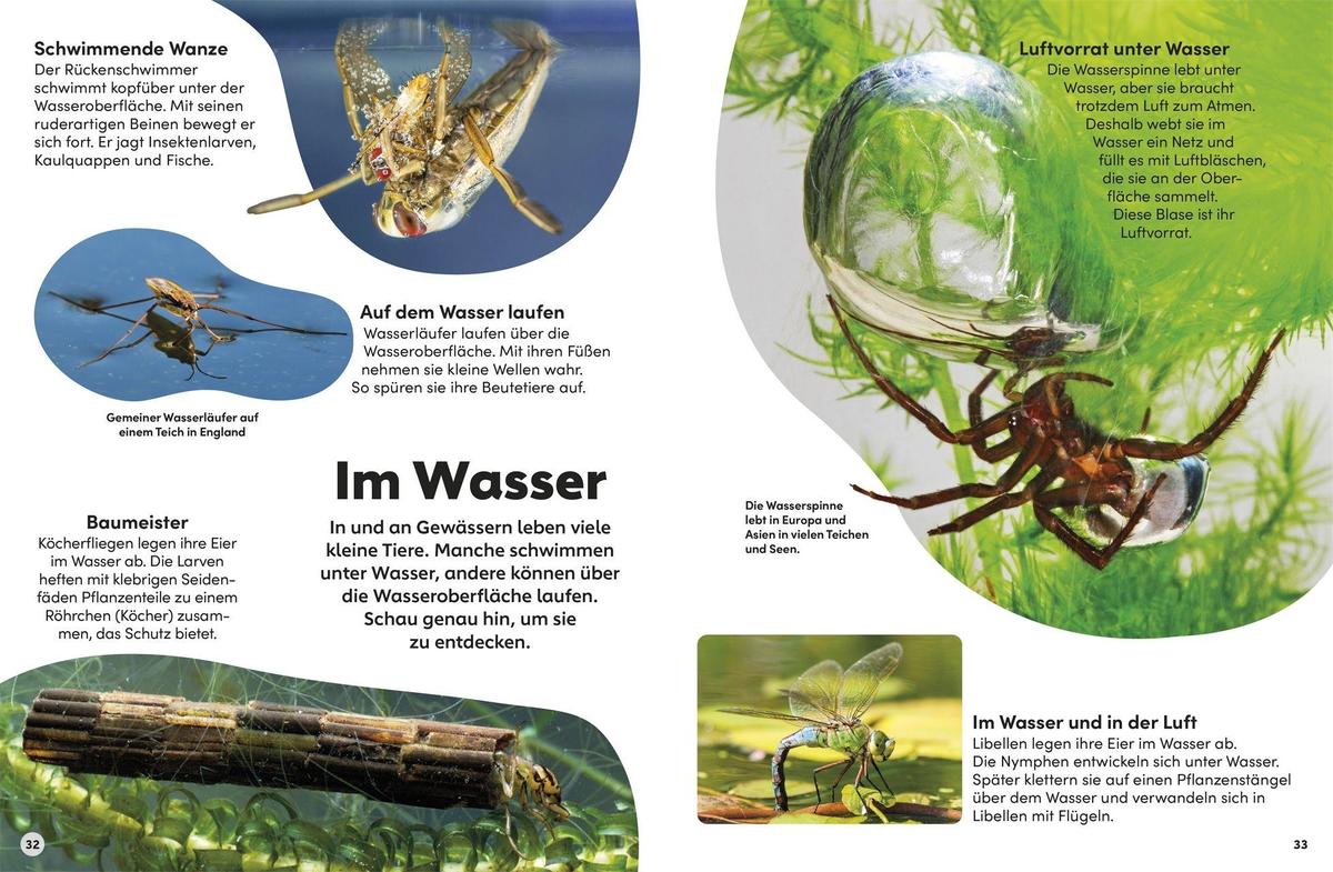 Weitere Ansicht: memo Wissen Kids. Insekten