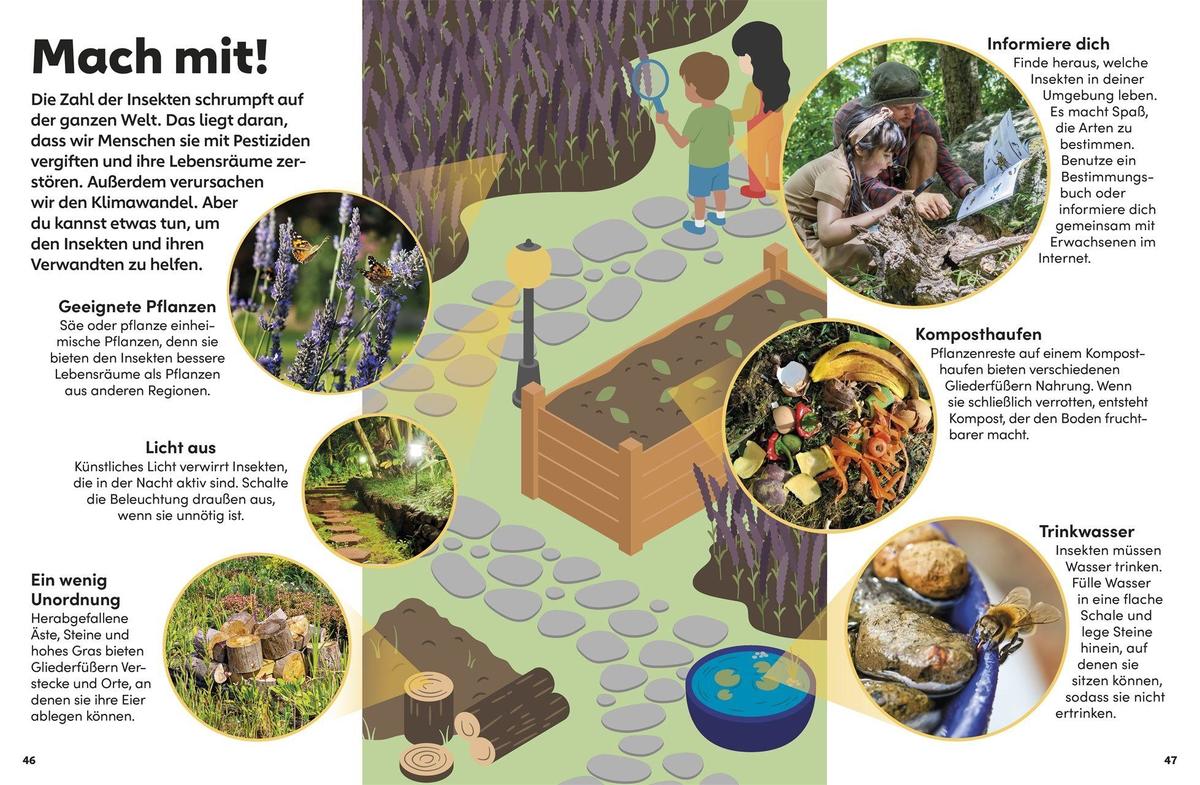 Weitere Ansicht: memo Wissen Kids. Insekten