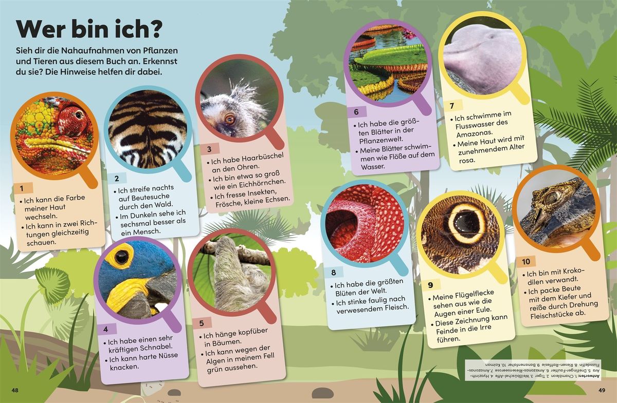 Weitere Ansicht: memo Wissen Kids. Der Regenwald