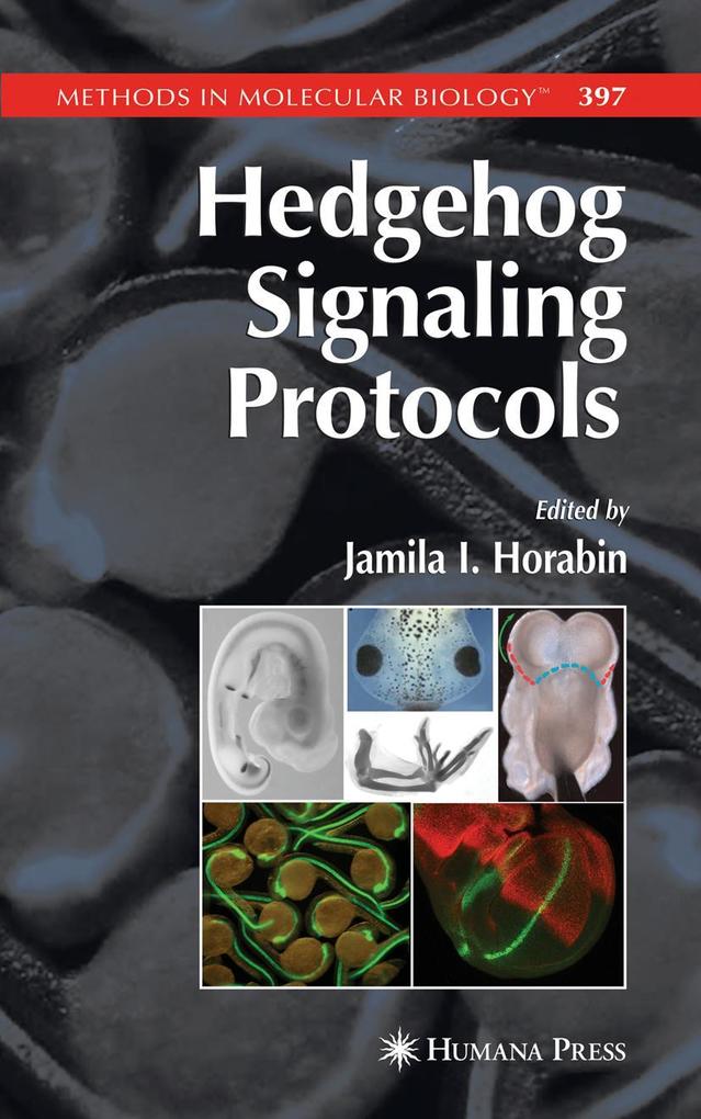 Produktbild: Hedgehog Signaling Protocols