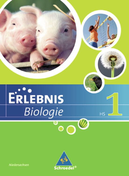 Produktbild: Erlebnis Biologie - Ausgabe 2007 für Hauptschulen in Hessen und Niedersachsen