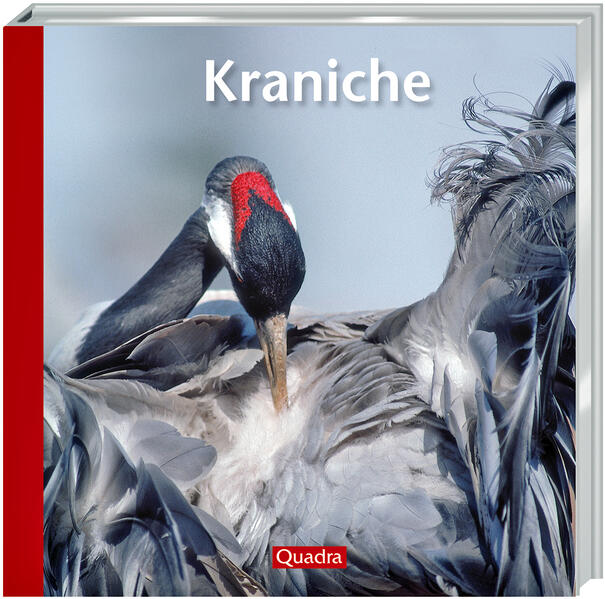Produktbild: Kraniche | Hartmut Elsner, Willi Rolfes
