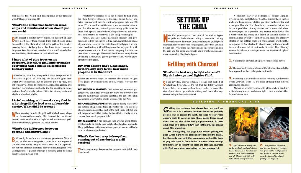 Weitere Ansicht: The Barbecue Bible. 10th Anniversary Edition | Steven Raichlen