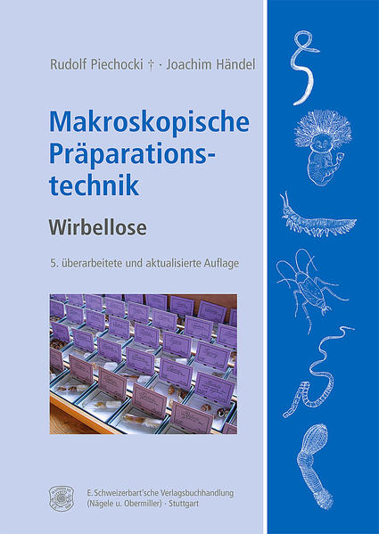 Produktbild: Makroskopische Präparationstechnik | Rudolf Piechocki, Joachim Händel